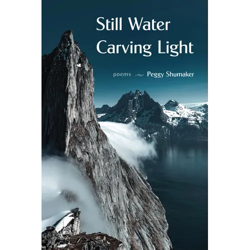 Still Water Carving Light: Poems