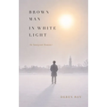Brown Man in White Light: An Immigrant Romance