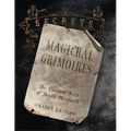 Secrets of the Magickal Grimoires: The Classical Texts of Magick Deciphered