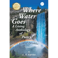 Where Water Goes: First Book of Parables