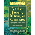 Native Ferns, Moss, and Grasses