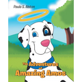 The Adventures of Amazing Amos