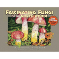 Fascinating Fungi of the North Woods, 2nd Edition