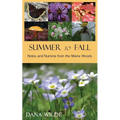 Summer to Fall