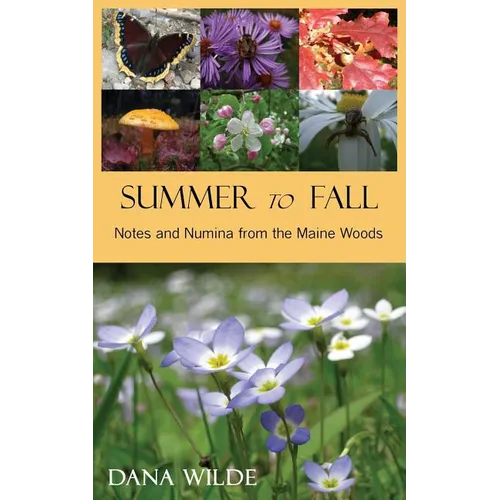 Summer to Fall