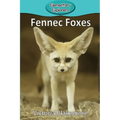 Fennec Foxes