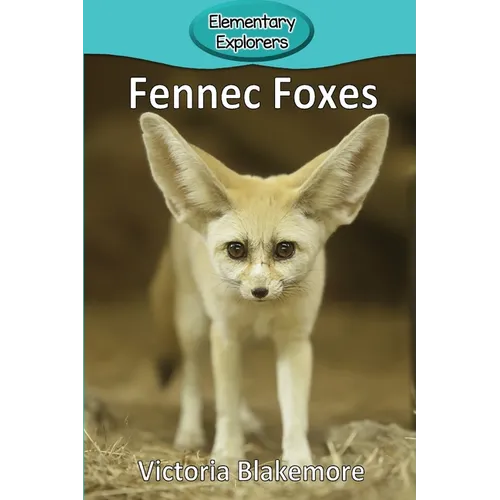 Fennec Foxes
