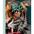 How Big Is That? a Life-Size Guide to the Animal Kingdom