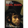 Surveys from Exile
