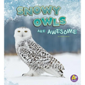 Snowy Owls Are Awesome