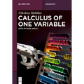 Calculus of One Variable: With Python and AI