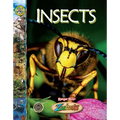 Insects