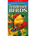 Compact Guide to Tennessee Birds