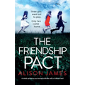 The School Friend: A totally gripping psychological thriller with a brilliant twist