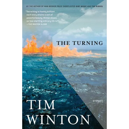 The Turning: Stories