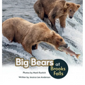 Big Bears at Brooks Falls