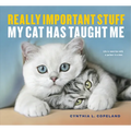 Really Important Stuff My Cat Has Taught Me