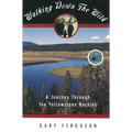 Walking Down the Wild: A Journey Through the Yellowstone Rockies