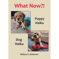 What Now?!: Puppy Haiku / Dog Haiku