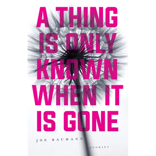 A Thing Is Only Known When It Is Gone