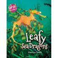 Leafy Sea Dragons