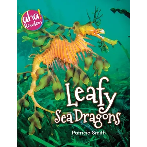 Leafy Sea Dragons