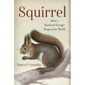 Squirrel: How a Backyard Forager Shapes Our World