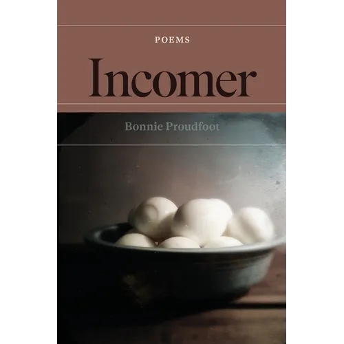 Incomer: poems