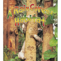 A Rainforest Habitat