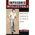 Imprisoned Intellectuals: America's Political Prisoners Write on Life, Liberation, and Rebellion