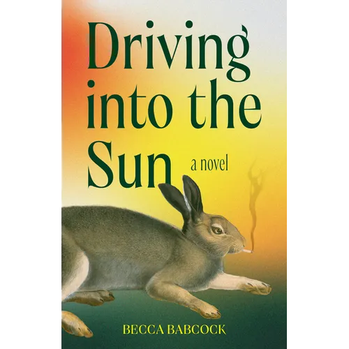 Driving Into the Sun