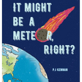 It Might Be a Meteor, Right?