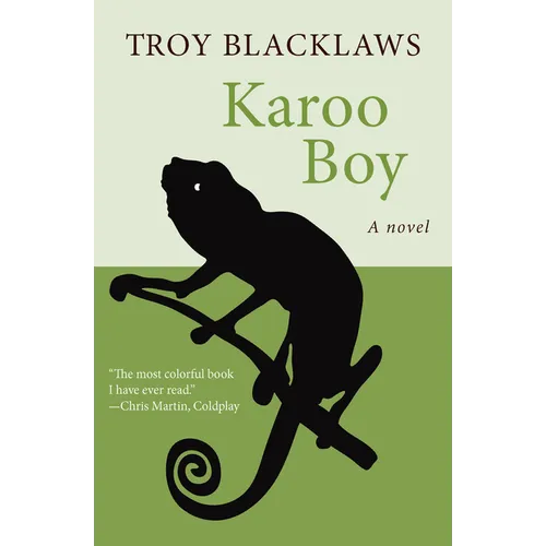 Karoo Boy