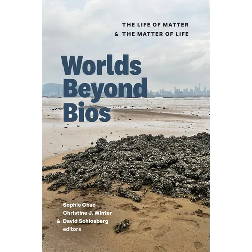 Worlds Beyond BIOS: The Life of Matter and the Matter of Life