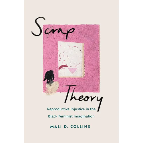 Scrap Theory: Reproductive Injustice in the Black Feminist Imagination