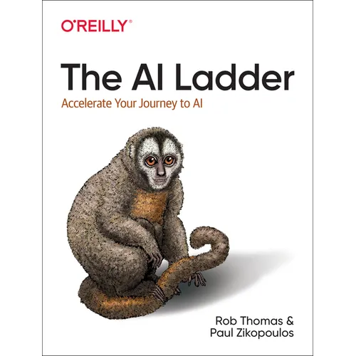 The AI Ladder: Accelerate Your Journey to AI
