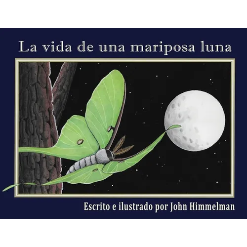 La vida de una mariposa luna