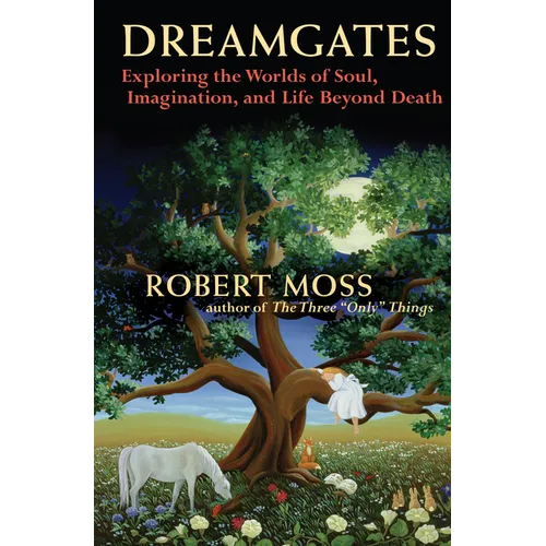 Dreamgates: Exploring the Worlds of Soul, Imagination, and Life Beyond Death