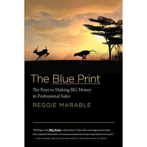 The Blue Print: The Keys to Making BIG Money in Professional Sales
