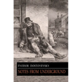 Notes from Underground
