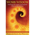 Womb Wisdom: Awakening the Creative and Forgotten Powers of the Feminine [With CD (Audio)]