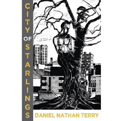 City of Starlings