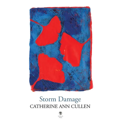 Storm Damage